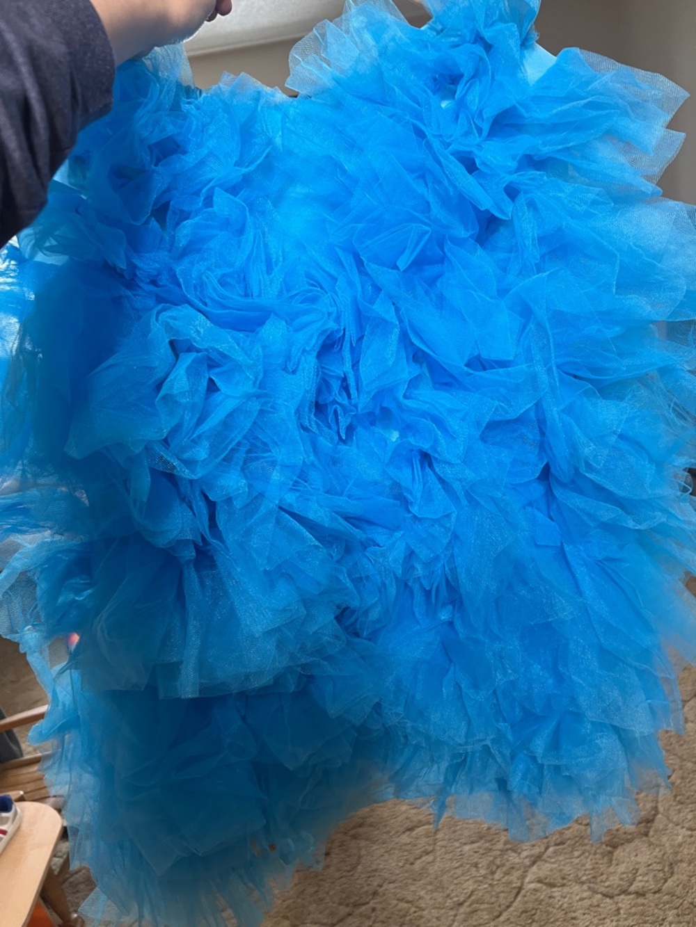 Blue Ruffled Tulle loofa costume